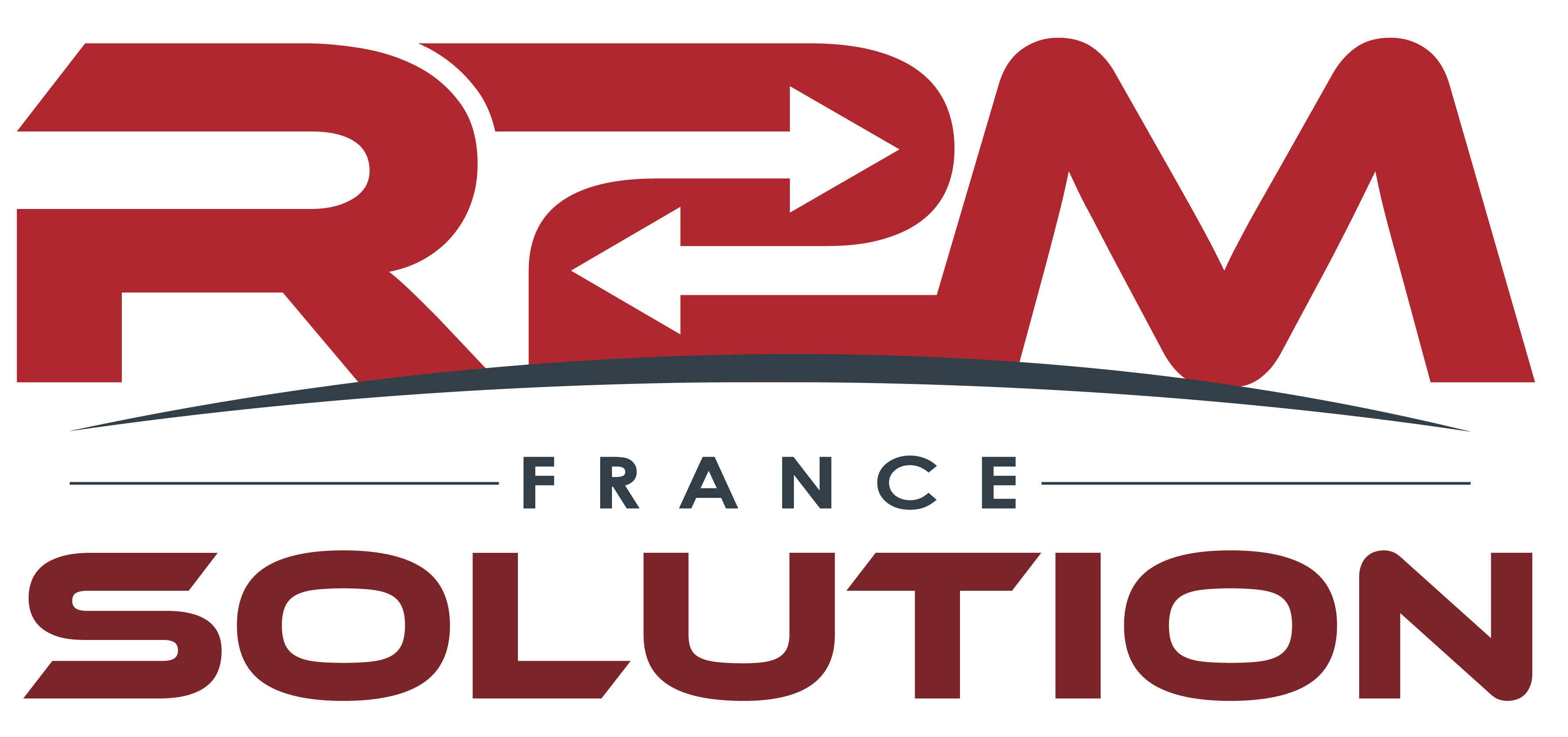 Logo R2M Solution branches_FRANCE